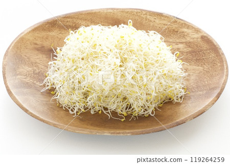 Alfalfa Alfalfa 119264259