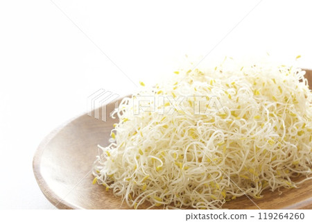 苜蓿 苜蓿 119264260