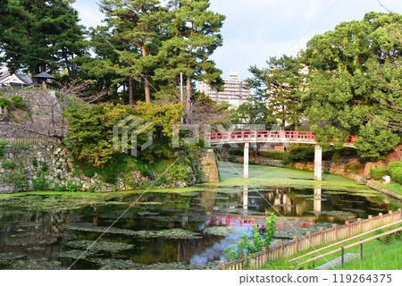Ryujo Moat and Shinkyo Bridge in Okazaki Park, Aichi Prefecture Ryujo Moat and Shinkyo Bridge in Okazaki Park, Aichi Prefecture 119264375