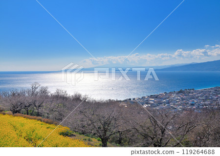 從關東東山公園、伊豆半島和神奈川縣二宮町的觀景台看到早春的相模灣和箱根 119264688