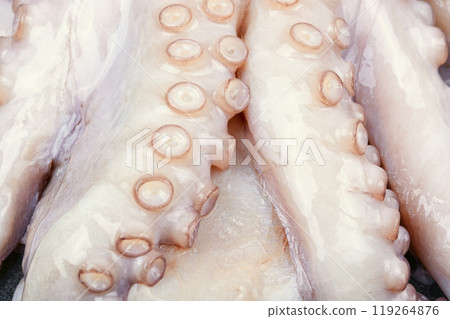 Whole frozen octopus. 119264876