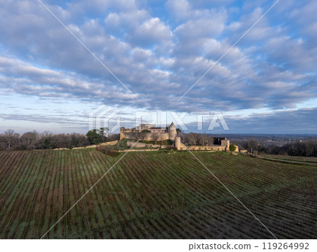 FRANCE, GIRONDE, PORTE DE BENAUGE, BENAUGE CASTLE AND ITS VINEYARDS IN WINTER, AOC CADILLAC COTES DE 119264992