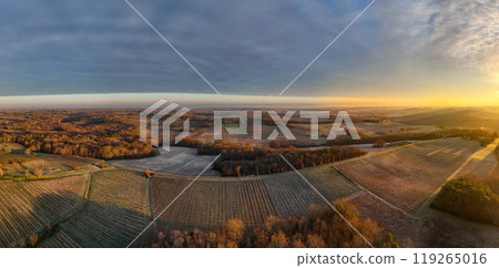 Aerial view of Bordeaux vineyard in winter at sunrise, Rions, Gironde, France 119265016