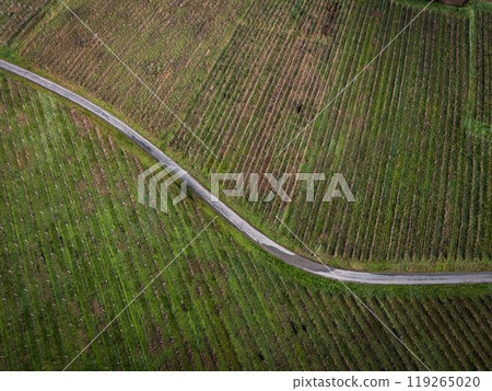 FRANCE, GIRONDE, SAINTE CROIX DU MONT, WINDING COUNTRY ROAD THROUGH THE BORDEAUX VINEYARDS IN WINTER FRANCE, GIRONDE, SAINTE CROIX DU MONT, WINDING COUNTRY ROAD THROUGH THE BORDEAUX VINEYARDS IN WINTER 119265020