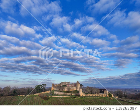 FRANCE, GIRONDE, PORTE DE BENAUGE, BENAUGE CASTLE AND ITS VINEYARDS IN WINTER, AOC CADILLAC COTES DE 119265097