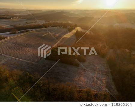 Aerial view of Bordeaux vineyard in winter at sunrise, Rions, Gironde, France 119265104