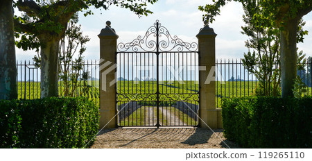 Luxury iron gate to the entrance of a vineyard near St-Emilion, France 119265110