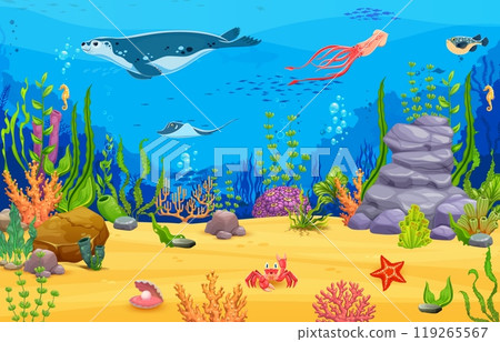 Sea game map, underwater landscape with a variety of marine life, including a seal, stingray, squid, pufferfish, seahorses, crab and vibrant coral reefs at sandy ocean floor with rocks and sea plants 119265567