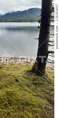 Bulgarian Rhodope Mountains. Lake Dospat. Balkans Bulgarian Rhodope Mountains. Lake Dospat. Balkans 119265607