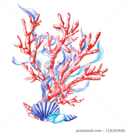 Coral branches with shells and seaweed in watercolor. Isolated monochrome illustration of sea creatures for marine themed event design, textile design, printing, children's parties Coral branches with shells and seaweed in watercolor. Isolated monochrome illustration of sea creatures for marine themed event design, textile design, printing, children's parties 119265680