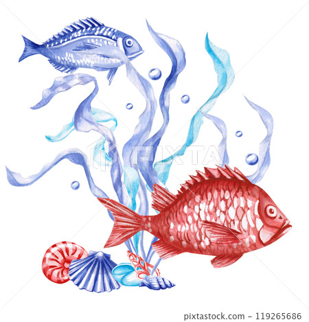 Seaweed composition with shells, red and blue fish in watercolor. Isolated monochrome illustration of sea creatures for marine themed event design, textile design, print, children's parties 119265686