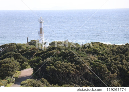 鹿兒島縣指宿市長崎花龍宮神社 鹿兒島縣指宿市長崎花龍宮神社 119265774