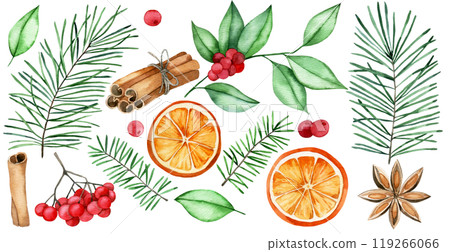 watercolor drawing, set of Christmas elements for mulled wine. dried orange, cinnamon, star anise, spruce branches. watercolor drawing, set of Christmas elements for mulled wine. dried orange, cinnamon, star anise, spruce branches. 119266066