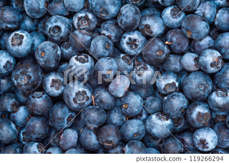 Wild blueberries as background. Blueberry berries top view. Wild blueberries as background. Blueberry berries top view. 119266294