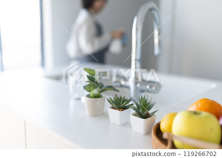 Kitchen fruits 119266702
