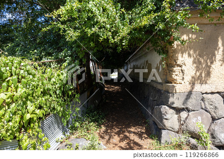 A narrow passage surrounded by greenery next to an old earthen wall 119266866