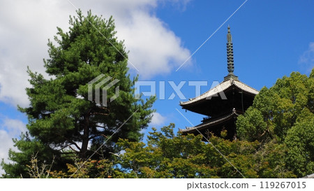 京都仁和寺五層塔 京都仁和寺五層塔 119267015