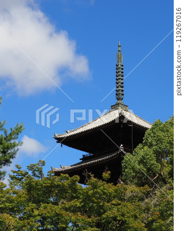 京都仁和寺五層塔 京都仁和寺五層塔 119267016