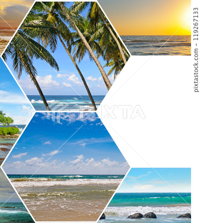 Tropical beaches, palm trees and bright sun. Collage. Concept - travel. Free space for text. 119267133