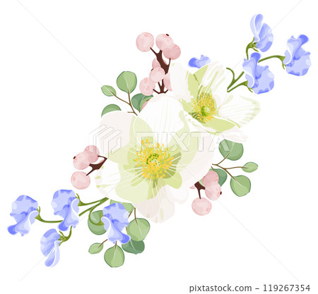 Vector illustration of a spring floral arrangement featuring white anemone, blue sweet peas, eucalyptus leaves, and pink berries. Vector illustration of a spring floral arrangement featuring white anemone, blue sweet peas, eucalyptus leaves, and pink berries. 119267354