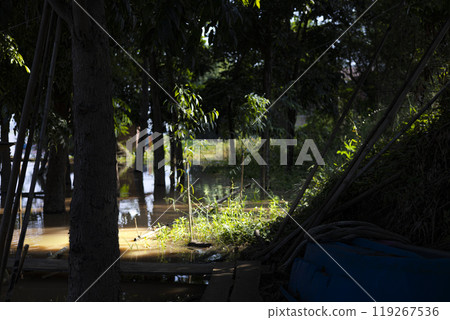 A river overflowed its banks and flooded the entire orchard. 119267536