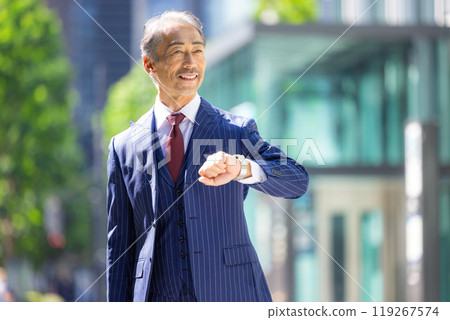 Senior businessman Senior businessman 119267574