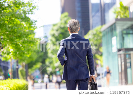 Senior businessman Senior businessman 119267575