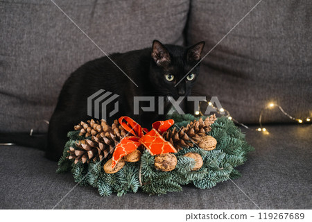 Black cat resting on a Christmas wreath with pinecones and red bow. Cozy holiday decor, peaceful winter atmosphere, and festive simplicity. Black cat resting on a Christmas wreath with pinecones and red bow. Cozy holiday decor, peaceful winter atmosphere, and festive simplicity. 119267689