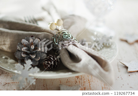 聖誕餐桌協調 聖誕餐桌協調 119267734