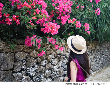 A woman gazing at bougainvillea flowers in Okinawa 119267968