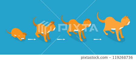 3D Isometric Flat Vector Illustration of Cat Life Cycle, Pets in Different Ages 3D Isometric Flat Vector Illustration of Cat Life Cycle, Pets in Different Ages 119268736