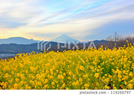 Kanto, Azumayama Park, the silhouette of Mt. Fuji and Hakone rising against the beautiful colors of the evening sky, Ninomiya Town, Kanagawa Prefecture () 119268797