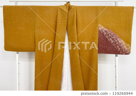 Colorful kimono robe on a hanger, promo photo for an online women's clothing store Colorful kimono robe on a hanger, promo photo for an online women's clothing store 119268944