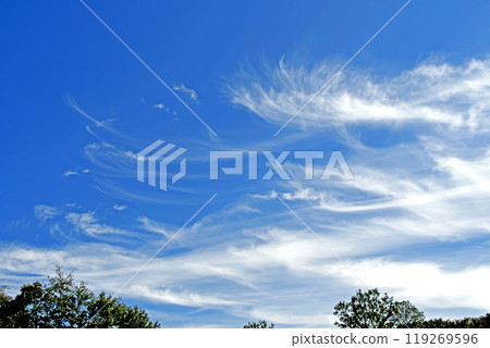 Cirrus 119269596