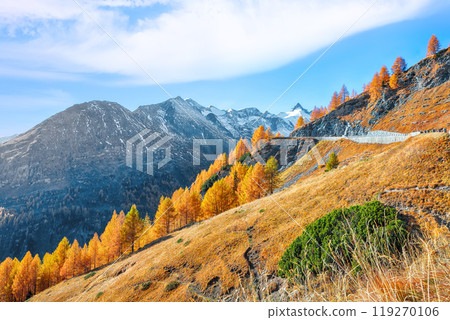 Majestic autumn landscape  at Grossglockner High Alpine Road with Grossglockner mountaine 119270106