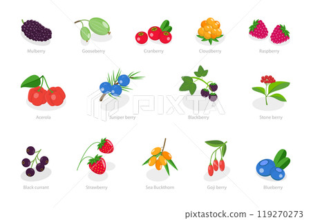 3D Isometric Flat  Set of Berries, Healthy Detox Natural Products 119270273