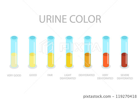 3D Isometric Flat  Illustration of Urine Color Chart, Assessing Hydration and Dehydration 119270418