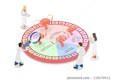 3D Isometric Flat  Illustration of Womens Fertility Cycle Calendar , Ovulation Phase 119270511