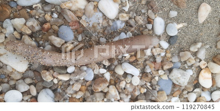 Kavala city in northern Greece, Macedonia region. the old city, harbour and antique fortres 119270845