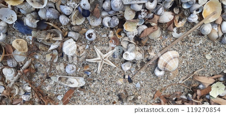 Nea Karvali, East Macedonia and Thrace, Kavala Municipality, northern Greece 119270854