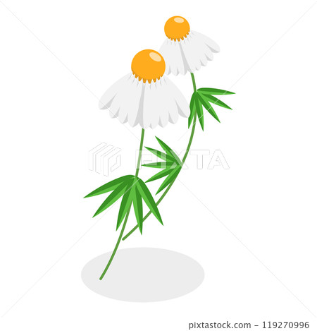 3D Isometric Flat  Set of Medical Herbs And Berries. Item 3 119270996