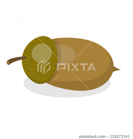 3D Isometric Flat  Set of Acorns And Cones. Item 3 119271341