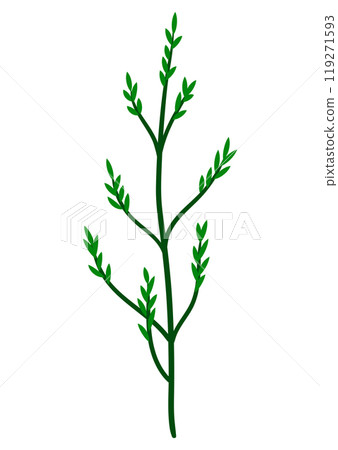 Illustration of stylized twig. Image of dry plant. Illustration of stylized twig. Image of dry plant. 119271593
