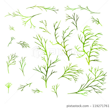 Set of green twigs. hand drawing. Not AI Vector illustration 119271761