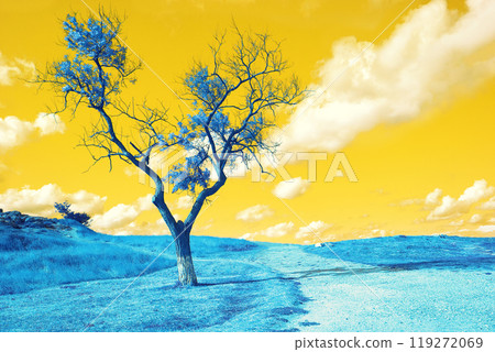 Alone tree near a mountain dirt road. blue yellow filter Alone tree near a mountain dirt road. blue yellow filter 119272069