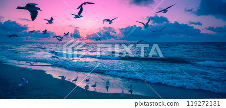Seascape and seagulls on a sandy beach during sunset. Nature landscape background. Horizontal banner 119272181