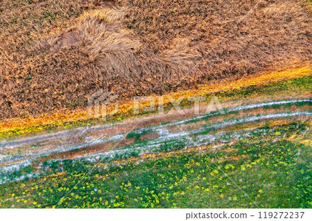 Top view of the rural landscape. Wheat field, dirt road, and virgin lands Top view of the rural landscape. Wheat field, dirt road, and virgin lands 119272237