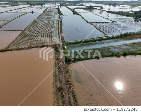 Flooded rice fields in the rain season of asia agriculture Flooded rice fields in the rain season of asia agriculture 119272246