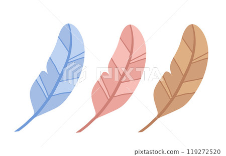 Feather with color variations 119272520