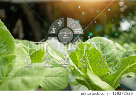 The concept of using AI and smart agriculture, precision agriculture The concept of using AI and smart agriculture, precision agriculture 119272529